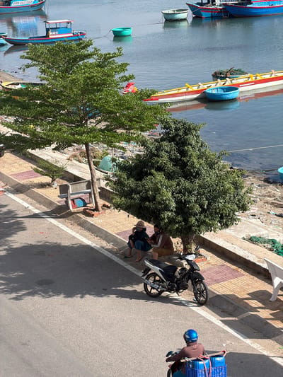 This image captures a vibrant waterside scene in Ninh Chu Ward, Vietnam, likely during midday or early afternoon given the strong, defined shadows cast by trees and objects. The setting includes a paved road, a tiled sidewalk, and an embankment bordering a body of water where several boats are present.

On the road, a person wearing a blue helmet and a brown long-sleeved top is seen on a scooter, which is laden with blue crates secured to its rear. Nearby, two other people are standing or crouching next to a parked black and silver motorbike on the sidewalk. One person is wearing a brown patterned top with white stripes, and another, partially visible, is in a dark top and blue shorts, appearing barefoot. Further down the sidewalk, another individual in a hat and dark clothing is also partially visible, seemingly barefoot.

Along the water's edge, various boats are docked or floating. These include larger, colorful wooden boats, primarily blue and red, and several smaller, round Vietnamese basket boats (thúng chai), some blue and some green. The bank between the sidewalk and the water shows some debris and green fishing nets. Large, leafy green trees line the sidewalk, casting significant shadows across the road. The water appears calm, reflecting the boats. No discernible text is visible in the image.