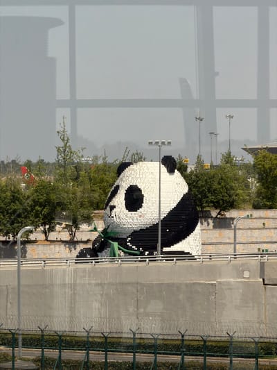 The image captures an outdoor scene, viewed from behind a large glass window, as indicated by the prominent reflections of window frames and other structures in the foreground. The main subject is a large, meticulously crafted panda head sculpture, composed of black and white square tiles or blocks, giving it a mosaic or pixelated appearance. This art installation is positioned within a landscaped area, flanked by numerous green trees and bushes. A small, angular green sculptural element is attached to the right side of the panda's head.

The sculpture rests on a paved surface made of light-colored, square pavers, which extends into a pedestrian area. This paved section is bordered by a robust concrete wall or barrier. To the right of the concrete structure, a tall green fence topped with coils of barbed wire or razor wire marks a boundary, with more vegetation visible beyond it.

Several tall utility poles or lampposts are scattered across the landscape. Two of these poles are equipped with yellow signs bearing black numbers: "202" and "203" are distinctly visible. Further in the background, peeking through the trees, a red flag adorned with a yellow star and other yellow symbols, identifiable as the national flag of China, can be seen.

The scene is illuminated by bright daylight, suggesting a clear or possibly overcast day, as shadows are subtle. No individuals are present, lending a serene and static quality to the environment. The iconic panda sculpture and the visible Chinese flag confirm the provided location context of Jianyang City, China, indicating a public park, themed area, or exhibition space.