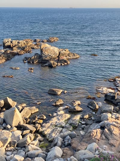 The image depicts a rocky coastline meeting the sea, likely near Palafrugell, Spain. The focus is on the rough terrain where large, gray rocks are scattered both on the shore and partially submerged in the clear water. The water is relatively calm with subtle ripples. The lighting suggests either early morning or late afternoon, with soft shadows highlighting the texture of the rocks. There's no sign of human activity or the presence of specific objects besides natural elements. The view is from above.