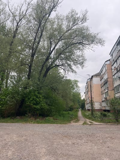 The image depicts an overcast day on a gravel road in what appears to be an urban area, likely in the city of Chervonohrad (formerly Cherliany), Ukraine. A multi-story apartment building with visible windows and balconies borders the upper part of the frame. A line of trees and foliage runs along the left side, contrasting with the building. The gravel road occupies the right side of the frame, stretching into the distance where a path narrows amidst dense vegetation. No people are immediately visible.