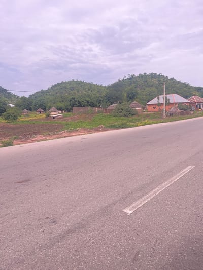 The image captures a rural landscape with a paved road in the foreground, leading into a village situated at the base of a lush, green, and slightly hilly terrain. The sky above is overcast with soft, diffused light.
In the village, several structures are visible. There are traditional huts with thatched roofs, some appearing to be made of mud. Interspersed with these are more modern-looking buildings with orange and red-tiled roofs, one of which has solar panels. A power pole stands near one of the modern buildings. The land between the road and the village appears to be cultivated with rows of young crops or cleared earth. Scattered debris can be seen along the edge of the road.
The scene suggests a serene, developing rural setting in Minda, Nigeria, where traditional and contemporary housing coexist amidst a verdant environment. There are no people or animals immediately visible in the frame.