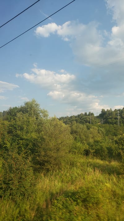 This is a vertical, eye-level, medium-wide shot of a tree-covered hillside and sky, taken from a moving vehicle, likely a train. The scene is set in the natural landscape surrounding Hubová, Slovakia, a rural area known for its green, undulating terrain. In the foreground, lush green grass and foliage are blurred due to motion, suggesting a rapid pass-by. The middle ground is dominated by a dense, varied forest with trees of different heights and shades of green. In the upper middle ground, the hillside rises, revealing more trees and a few visible power line towers. The sky above is a clear blue, punctuated by scattered white cumulus clouds. Two dark power lines are visible diagonally across the top of the image, further indicating that the photograph was taken from a transportation route. No people are visible in the frame.