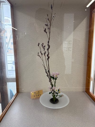 A Japanese ikebana arrangement features pussy willow branches extending horizontally from a white dish. The dish holds a dark holder with white and pink flowers. A golden card sits near the dish, inscribed with Japanese characters. The arrangement is displayed in a wooden frame with windows showing an exterior view. The background is a light beige, possibly a wall. The composition is well-lit and showcases the elegance of the floral display.