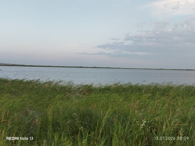 The image shows a wide, still body of water, likely a lake or reservoir, under a pale sky with scattered clouds. The foreground is dominated by tall, green grass and reeds, some of which are swaying in the wind. A few small, pale purple flowers are visible amongst the vegetation. The horizon line is low, with a thin strip of land visible in the distance, sparsely populated with what appear to be buildings and trees. The overall impression is one of a natural, tranquil landscape. The lower left corner displays "REDMI Note 13" and the lower right corner shows the date "13.07.2026" and time "20:09". The location is identified as Қашар, Kazakhstan.