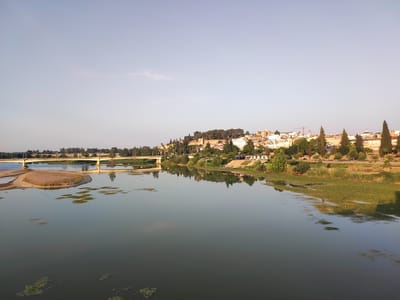 The media file captures a wide shot of a river flowing through a city, likely Badajoz, Spain, under a clear, pale blue sky, suggesting a pleasant, late afternoon or early morning. A modern concrete bridge spans the river in the middle ground, with cars visible on its deck, indicating it's an active thoroughfare. The river's surface is calm, reflecting the sky and the buildings on the far bank. On the left bank, a sandy island emerges from the water, dotted with sparse vegetation.
The far bank is lined with lush green trees and dense vegetation, leading up to a cityscape. The city's buildings, a mix of white and earth-toned structures, are clustered on a hill, with some older architecture visible, possibly hinting at historical significance. Among the trees on the hill, there are a few tall, slender cypress-like trees and a modern red construction crane, suggesting ongoing development. The water is partially covered with patches of green aquatic plants, particularly near the right bank. The overall scene evokes a sense of tranquility and a harmonious blend of natural landscape and urban development. No text is visible in the image.