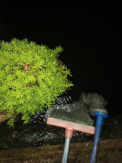 The scene depicts a low-light environment in Naya Andura, India, with a predominantly black background. In the upper left quadrant, a vibrant cluster of small-leaved, bright green plants, consistent with a succulent species, is visible. These plants are rooted in a dark, moist medium. Positioned in the lower center and right of the frame are two cleaning implements. On the left, a floor squeegee featuring a translucent pink plastic head and a silver-colored metal handle is present. To its right, a mop with a dark grey, fibrous, shaggy head is attached to a blue plastic handle. Water is actively splashing and flowing, creating a wet surface area around the base of the plants and the lower sections of the cleaning tools. No human subjects are visible in the image.