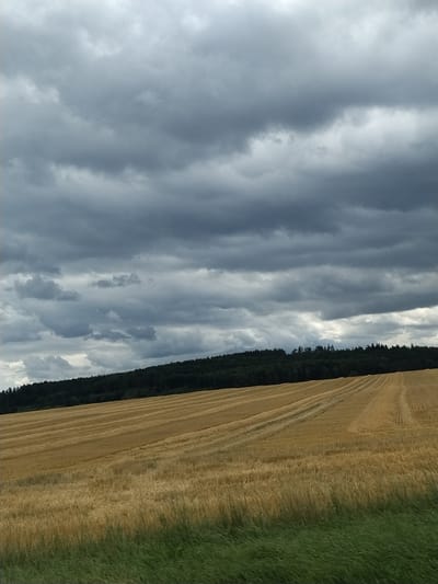The image depicts a field in Záhoří, Czechia, under a heavily clouded sky. The foreground features a harvested wheat field with distinct rows from harvesting equipment, transitioning to a strip of green grass at the very bottom. Beyond the field, a dense line of dark green trees forms a treeline along a gentle slope. The sky is dominated by thick, dark grey storm clouds, with some lighter patches indicating breaks or thinner areas. The overall scene suggests an overcast, potentially pre-storm atmosphere. There are no people or animals visible in the image.