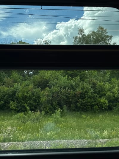 The image shows a view through a window, likely of a moving vehicle. The scene is divided vertically by dark window frames. On the left, a bright blue sky is filled with fluffy white clouds. Several dark, thin wires run diagonally across the sky, suggesting the presence of utility lines. The tops of trees are visible in the sky portion, with some bare branches.

The right side of the image shows a dense canopy of green trees. Further to the right, there is a strip of green grass and vegetation, with some lighter-colored wildflowers interspersed. Beyond the grass is a rough textured surface that appears to be gravel or ballast, possibly alongside a railway track.

The lighting suggests it is daytime, with bright sunlight illuminating the sky and casting a slight glare on the landscape. The weather appears to be clear and sunny, with the presence of large clouds. The overall impression is a serene natural landscape viewed from a moving perspective. There is no visible text in the image. The location is identified as Voskresensk, Russia.