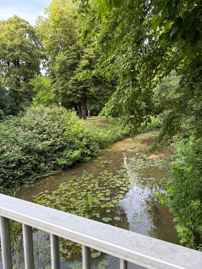 The image depicts a view of the Weser river in Nienburg/Weser, Germany, taken from a bridge. The foreground is dominated by the railing of the bridge, made of brushed metal with vertical supports. Beyond the bridge, the river flows, its surface partially covered with lily pads. Dense green foliage lines the riverbanks, with trees extending into the background. The water appears murky brown, and fallen leaves are scattered across its surface. The sky is overcast, with a pale blue hue. There are no people or animals visible in the scene. The overall impression is one of a natural landscape within an urban setting.