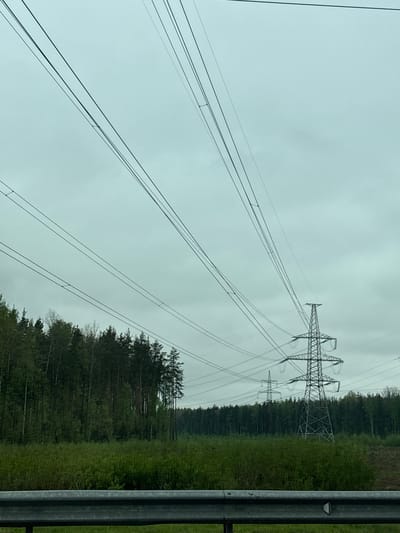 The image shows a view of power lines and pylons running alongside a road bordered by a forest. A metal guardrail is visible on the right side of the frame. The sky is overcast. The location is Novosergievka, Russia.