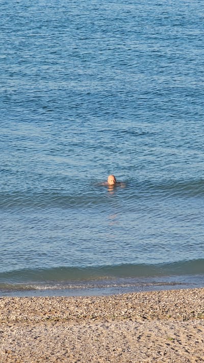 The image depicts a person with a shaved head swimming in the sea. The person's head and shoulders are visible above the water. The sea is calm with small waves. In the foreground, there is a beach covered with small stones and sand. The location is the sea and beach area in Shabla, Bulgaria.