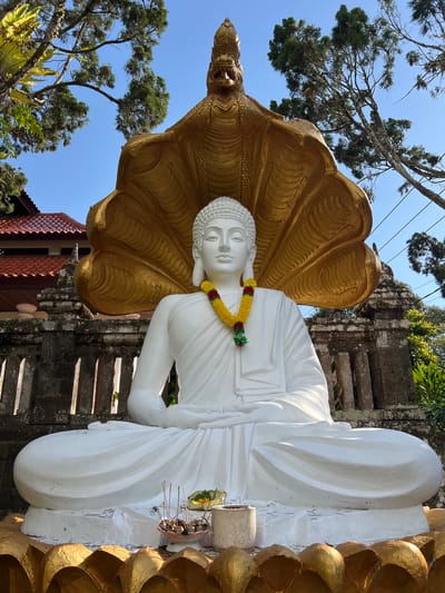A seated white Buddha statue is centrally positioned in the image, adorned with a yellow and green garland. The statue is sheltered by a large, ornate golden naga head and hood, designed with intricate scales and a fierce expression. In front of the statue, a small offering bowl contains incense sticks and what appears to be flowers or leaves. The background reveals a traditional Indonesian building with a red tiled roof, stone walls, and lush green foliage under a clear blue sky. The setting is outdoors, suggesting a temple or religious site.