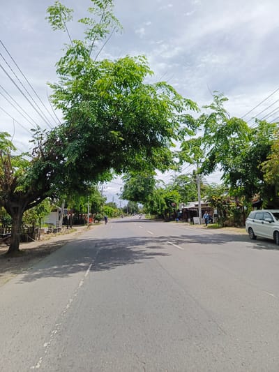 The image depicts a straight, paved road lined with trees and buildings on either side. The road has a white dashed line marking the center. Overhead, power lines are visible, supported by poles. Lush green trees with dense foliage arch over the road, creating a canopy effect in some sections. On the left side of the road, there is a dirt shoulder with a tree and some vegetation. Further down the road on the left, several small buildings are visible, some with signs. On the right side of the road, there are more buildings, a white van, and a person walking. A few motorcycles and a person on a motorcycle are also present on the road in the distance. The sky is partly cloudy with a bright, hazy atmosphere. The scene appears to be a typical street in a populated area, possibly a village or small town, in Cotbadatunong, Indonesia.