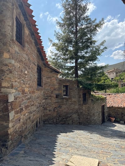 The image depicts a narrow cobblestone street in Patones De Arriba, Spain, characterized by traditional stone buildings with terracotta tiled roofs. The architecture reflects the rustic charm of the village. A tall evergreen tree grows up through the side of one of the stone structures, its branches extending outwards. The sky is blue with scattered white clouds, indicating fair weather. The sun casts sharp shadows on the street, suggesting it is midday. In the background, other stone houses and lush green foliage are visible, contributing to the picturesque and historical atmosphere of the location. There are no people or animals visible in the scene.