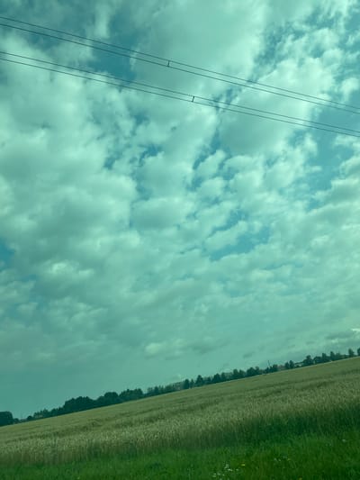 The image displays a wide-angle, slightly tilted view of a rural landscape under a cloudy sky. In the foreground, a green grassy area is visible, transitioning into a field of mature wheat or barley, which appears golden and ready for harvest. The field slopes upwards towards a line of trees in the mid-ground, behind which a few buildings can be discerned, suggesting a small settlement. The sky is dominated by scattered, light-colored clouds against a pale blue backdrop. Two dark, parallel lines, likely power or telephone lines, traverse the upper portion of the image horizontally. There are no people or animals visible in the scene. The overall impression is one of a peaceful, agricultural setting in Rõhu, Estonia.