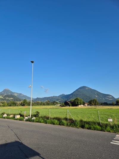 The photograph captures a sunlit outdoor scene near Niederndorf, Austria. The sky is a clear, vibrant blue, dominating the upper portion of the frame. In the mid-ground, a vast, green field stretches out, bordered by a fence. A tall, silver lamppost stands prominently in the field, with a smaller fixture attached to it. Behind the field, a cluster of trees forms a natural border, beyond which rolling hills and mountains rise, their slopes covered in dense green foliage. A few scattered buildings, including a dark-colored barn with a red roof, are visible nestled amongst the trees and on the hillsides. In the foreground, a grey asphalt road runs diagonally across the lower part of the image, with a distinct shadow cast across it from an unseen object. A white crosswalk marking is faintly visible on the road. Several small, informational signs are placed near the fence line in the field. The overall impression is of a tranquil rural landscape on a clear day.