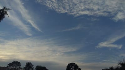 A daytime sky exhibits cirrus clouds with wispy, brushstroke-like shapes scattered throughout. The blue sky peeks through the cloud cover, creating a textured appearance. Below, tree silhouettes form a dark, uneven horizon. The light suggests either early morning or late afternoon, adding to the overall tranquil scene.