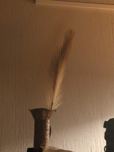The image shows a close-up of a beige, textured wall with horizontal striations. In the foreground, extending from the right side of the frame, is what appears to be a light brown feather or a similar natural material, fanned out and tapering to a point. This feather is attached to a cylindrical object wrapped in a light brown material, possibly paper or fabric. Part of a dark, silhouetted object is visible in the upper right corner of the image. The lighting is warm, suggesting an indoor setting, possibly in the evening. There are no visible people, text, or clear indicators of weather. The setting appears to be a domestic or decorative context, given the texture of the wall and the presence of the feather-like object. The composition focuses on the texture of the wall and the delicate detail of the feather.