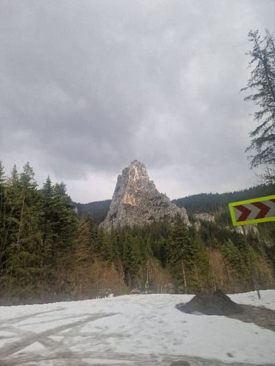 The image presents a mountainous landscape in the Bicaz Gorges, specifically depicting the prominent Piatra Altarului (Altar Rock) formation, located near the city of Bicaz-Chei, Neamț County, Romania. The foreground consists of snow-covered ground, exhibiting visible tire tracks, and a small mound of dark, coarse material on the right. The midground is dominated by dense coniferous forest, interspersed with deciduous trees displaying bare branches, from which the grey, jagged Piatra Altarului rock formation rises sharply, its left flank showing areas of lighter-colored rock. Behind this formation and the forest, additional forested slopes are visible. The sky is uniformly overcast with a layer of grey clouds. On the far right, partially obscured, is a yellow-bordered road sign featuring two red chevron arrows pointing towards the right. Small structures, some with red roofs, are faintly discernible among the trees at the base of the main rock formation. No individuals are visible within the frame.