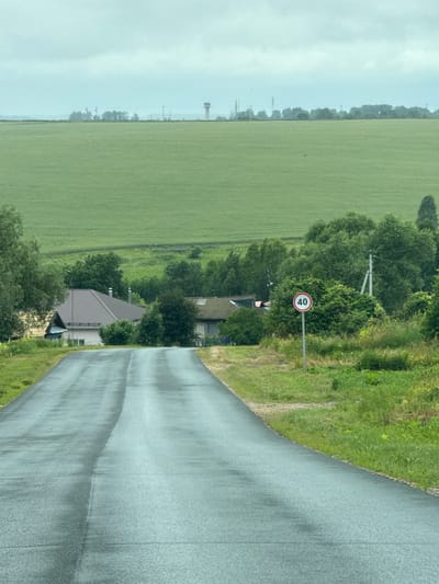 The image depicts a rural road leading through a village, likely in Stechkino, Russia. The road is wet and appears to have recently rained, with visible tire tracks. On the right side of the road, a speed limit sign indicating 40 kilometers per hour is mounted on a pole. The road is flanked by lush green grass and dense trees. In the background, several houses with dark roofs are visible, nestled among the trees. Beyond the village, a vast, vibrant green field stretches towards the horizon. In the far distance, a tall tower-like structure and other industrial elements can be seen against a cloudy sky. The overall atmosphere is serene and pastoral.