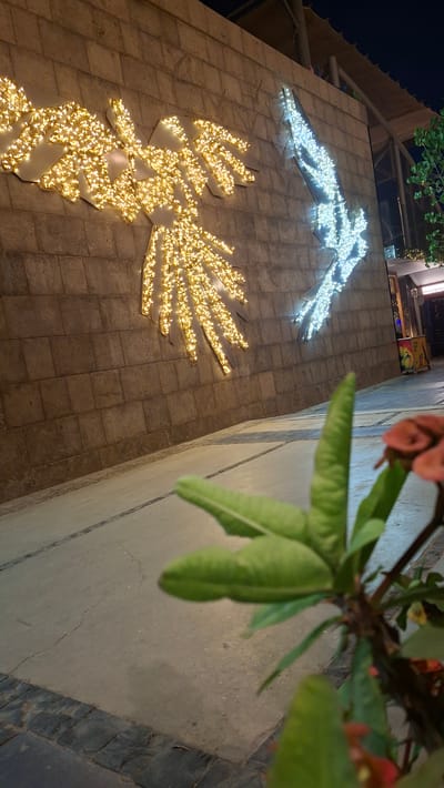 The image shows a building facade decorated with illuminated figures made of Christmas lights. On the left, there is a large illuminated figure of a bird in white light, possibly a dove or eagle, in mid-flight. Below it and slightly to the right, is another illuminated figure of a bird, this time in warm yellow light, also appearing to be in flight with outstretched wings. The building wall is tiled with square, tan-colored tiles, creating a textured surface that complements the luminous decorations.
To the right of the building facade, a close-up of a plant with green leaves and red flowers is visible, blurring the background. The plant is in the foreground, and its leaves partially obscure the view of the building and the lights. The lighting suggests it is nighttime or dusk, as the artificial lights of the decorations are prominent against a dark sky. The overall scene evokes a festive or decorative atmosphere, possibly for a holiday or special event. The location is identified as Sheikh Zayed, Egypt, which might suggest a public space or commercial area decorated for a holiday. No visible text is present in the image.