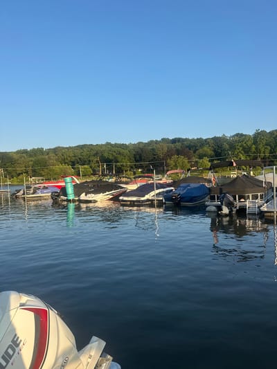 An aerial view depicts a marina on a clear day with a serene lake. The lake is populated with various boats moored along a dock, most of which are covered with black tarps. The boats range in size and style, including several pontoon boats and what appear to be speedboats. The water's surface reflects the blue sky and the boats. A lush, green forest line borders the far side of the lake, with a clear blue sky overhead. The foreground features the back of a white outboard motor, suggesting the perspective is from another boat. The location is identified as Algonquin, United States of America.