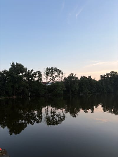 The image depicts a serene natural landscape at dusk, featuring a body of water reflecting the surrounding trees and the soft hues of the sky. On the far side of the water, a dense line of trees creates a verdant border, interspersed with glimpses of buildings, possibly residential structures, peeking through the foliage. The sky above transitions from a pale blue near the horizon to a lighter, almost pinkish tint higher up, with a few wispy clouds. The water's surface is calm, creating a clear mirror image of the trees and sky, with subtle ripples adding texture to the reflection. The overall scene suggests a peaceful evening in a semi-rural or park-like setting. The image is specified to be taken in the city of Rosnówko, Poland.