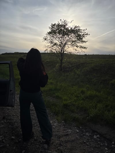 The image shows a landscape near Бикбарда, Russia. A silhouetted person stands on a rocky path next to a car with an open door. The person is facing a field and a silhouetted tree with the sun behind it. The sky is overcast.