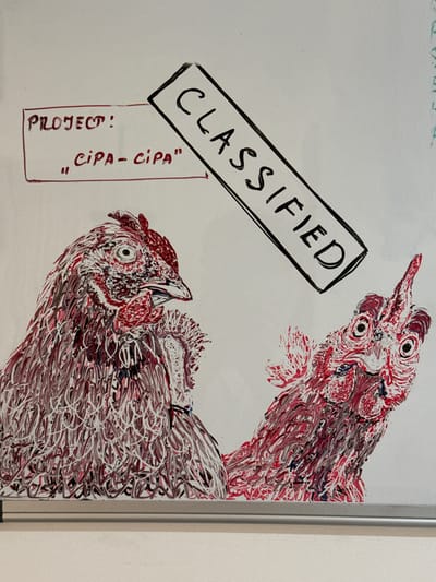 The image depicts a whiteboard with a drawing of two chickens and some text. The text in a red rectangle reads "PROJECT: 'CIPA-CIPA'". Above this, a diagonal black rectangle with the word "CLASSIFIED" written in black capital letters is drawn. The chickens are drawn in a stylized, abstract manner with red, white, and dark grey lines, giving them a textured appearance. One chicken is on the left, facing right in profile, and the other is on the right, facing forward.
This image is located in Mesogi, Cyprus. Specifically, it is on a whiteboard in a workshop at the Mesogi Community Training Centre.