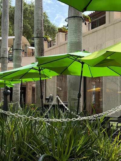Here's a description of the image:
The image shows a ground-level view in Coral Gables, Florida. A row of tall, cylindrical palm trees lines a sidewalk or outdoor area. Each tree has a black circular band around it, presumably to support something attached to the tree. Bright green patio umbrellas are attached to the trees with black metal fixtures. To the right of the frame, a lush green bush or shrub grows. White plastic chains hang near the bush. The background reveals a building facade with a combination of stone or concrete and what appears to be windowed or latticed sections. A small balcony with plants is visible on an upper level. The sky is partly visible between trees, showing some light cloud cover.