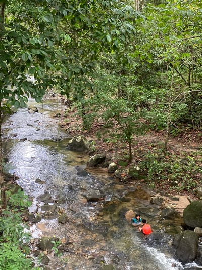Two people are in a shallow, rocky river in Tambon Thai Mueang, Thailand. One person wears an orange shirt and the other wears a blue and green shirt. The river flows through a dense forest. The scene is viewed from an elevated position, looking down.