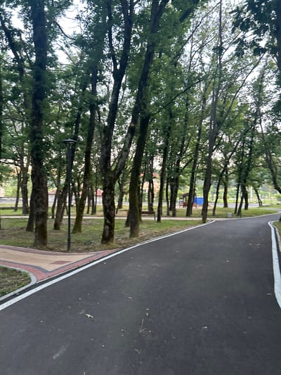 The image shows a paved pathway curving through a park. The pathway is dark asphalt with white lane markings. To the left of the pathway is a section of brick paving with red and beige colored bricks, bordered by grass. A single black lamppost stands in the grass to the left of the pathway. Beyond the lamppost, a dense line of mature trees with dark bark and green foliage stretches across the background. Through the trees, several buildings with reddish-brown roofs are visible, suggesting an urban or suburban setting. The sky above is overcast and pale. The overall scene depicts a well-maintained park or recreational area.