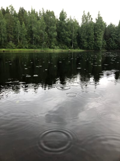 The image depicts a body of water with ripples, likely from rainfall, with a dense forest lining the opposite bank. The sky is overcast, creating a soft, diffused light. The water's surface reflects the trees and the sky. The scene appears to be a natural landscape, possibly a lake or a slow-moving river. There are no visible people or man-made structures. Based on the context provided, the location is Svirstroy, Russia.