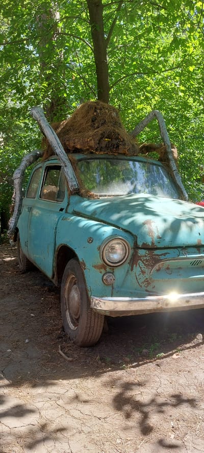 A turquoise, weathered Soviet-era car, likely a ZAZ-965 "Zaporozhets," is parked outdoors on a dirt path in a wooded area. The car's body shows significant rust and wear. It is adorned with a large, homemade spider-like decoration on its roof, constructed from straw or hay with what appear to be wooden or PVC pipe legs. The car is surrounded by trees with lush green foliage, and sunlight filters through the leaves, casting shadows on the ground. The scene appears to be a unique, artistic installation or decoration, possibly in a park or private property within the Berdsk municipality of Russia. There are no people or discernible actions taking place.