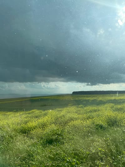 The image shows a view of a landscape through what appears to be a dirty window. The left side of the image is mostly obscured with dirt and reflections, showing hints of a cloudy sky. In the center, there's a line of trees. To the right of the trees is a field of green grass and yellow wildflowers. The location is likely in Makariopolsko, Bulgaria.
