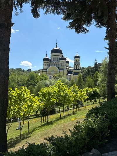 The image depicts the Hancu Monastery, located in the village of Ciuciuleni, Moldova. The monastery is characterized by its prominent yellow facade and several black-domed towers. It is situated amidst lush greenery, with a dense forest surrounding the structure. In the foreground, a row of young trees with vibrant green leaves lines a sloping grassy area. The sky above is a clear blue with scattered white clouds. The scene appears serene and well-maintained, suggesting a place of religious significance and natural beauty. There are no people clearly visible in the image, but a white pedestal-like structure can be seen in the mid-ground, and some fencing lines the path.