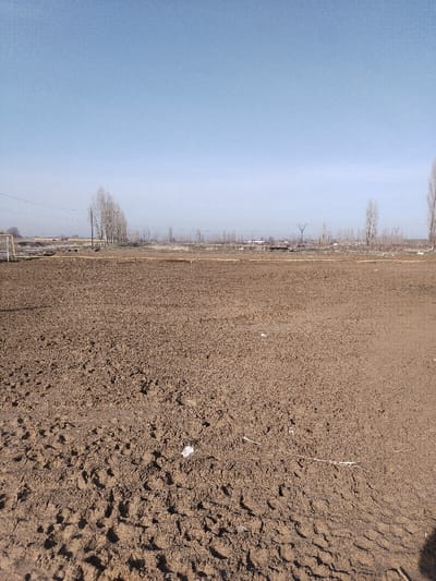 A desolate, barren field of churned mud dominates the foreground, with tire tracks visible. Sparse litter dots the muddy surface. In the distance, a line of leafless trees stands beneath a hazy blue sky. A yellow goalpost is visible on the left, suggesting a neglected sports field. Power lines stretch across the horizon behind the trees, indicating a human presence in the otherwise bleak landscape.