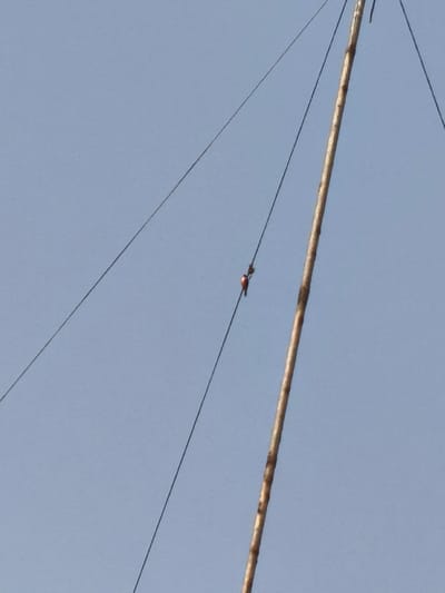 A single bird, notable for its bright red coloration, perches on a taut, dark wire stretched against a pale blue sky. The wire appears to be part of a network connected to a long, thin, wooden pole that stands vertically to the right of the bird. This scene, with the bird on the wire and the wooden pole against the sky, is located in Chimbote, Peru.