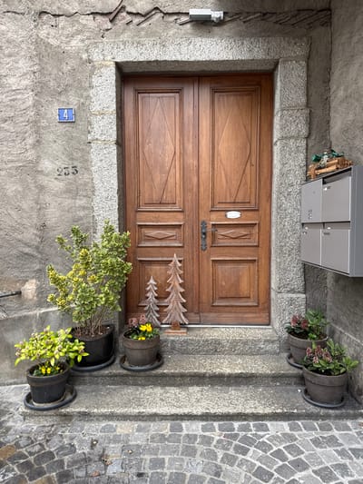 The image displays the front entrance of a building located in Visp, Switzerland. A dark brown double-leaf wooden door, featuring recessed panels with diamond and rectangular patterns, is centrally positioned, flanked by a thick frame of rough-hewn grey stone. A black iron handle is present on the right door leaf, with a small white oval plaque above it.

To the left of the door, on a textured grey stucco wall, a blue rectangular plaque displays the white number "4". Below this plaque, the number "233" is stenciled in black. On the right side of the door, two grey metal mailboxes are stacked vertically and mounted on the wall. The top of the mailbox unit holds a small decorative arrangement of cut wood logs and green foliage.

Two worn grey stone steps lead up to the doorway from a cobblestone pavement laid in a fan-shaped pattern. Various potted plants are arranged on these steps: a large black pot with a variegated green and yellow plant, a smaller black pot with a yellow-leafed plant, and another dark pot containing yellow and purple flowers are on the left. Two additional dark pots with reddish-purple foliage are positioned on the right side of the steps. Between the left-side plants and the door, two decorative wooden Christmas tree figures of differing heights stand on the upper step. Above the stone door frame, the grey stucco wall is damaged, revealing exposed brickwork, and a small grey outdoor light fixture is mounted. No individuals are visible in the scene.