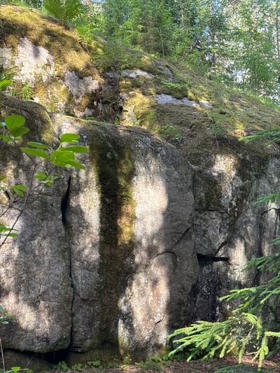 The image depicts a rocky, moss-covered hillside in a forest environment, potentially located in Berezovo, Russia. The terrain is dominated by large boulders, some of which are overgrown with vibrant green moss. Sunlight filters through the dense foliage of trees, casting distinct shadows across the rocks and creating a dappled lighting effect. Ferns and other green vegetation are scattered amongst the rocks and on the forest floor. In the foreground, a branch of a spruce tree with its characteristic needles extends into the frame. No people are visible in the scene. The overall impression is one of a natural, undisturbed wilderness.