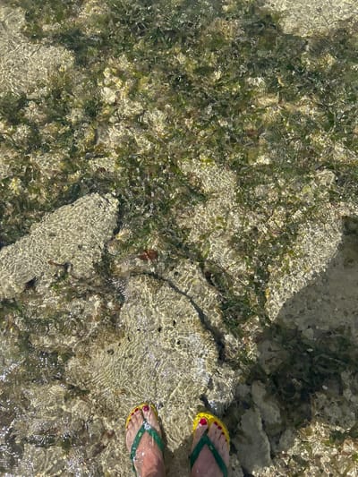 The image depicts a view from above of shallow, clear water, likely near a shoreline or tidal pool. The seabed is composed of light-colored rock and sand, with patches of what appears to be seaweed or algae. Sunlight creates a shimmering effect on the water's surface. The lower right corner of the frame shows a pair of bare feet wearing yellow and green flip-flops. The toenails are painted red. Given the mention of Le Gosier, France, the location is likely a coastal area.