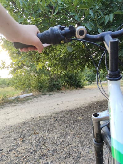 The image captures a first-person perspective of someone riding a bicycle on a dirt road. The sun is setting, casting a warm glow through the leaves of a large tree that overhangs the path. The handlebars of the bicycle are visible in the foreground, with a hand gripping the right handlebar, which has a gear shifter and a bell attached. The road ahead is dusty and extends into a tree-lined landscape. In the background, there are more trees and vegetation, suggesting a rural or semi-rural setting. A white, rectangular object, possibly a marker or part of a fence, is visible on the left side of the road. The overall mood is serene and peaceful, indicative of a leisurely bike ride in the late afternoon. No text is visible in the image. The location is identified as Ucrainca, Moldova.