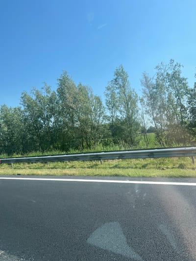 The image depicts a roadside scene in Marsum, Netherlands, on a clear day. A highway is visible in the foreground, with a white line marking the edge of the lane. Beyond the highway, a metal guardrail separates the road from a grassy verge. A line of trees, primarily deciduous with feathery leaves, forms a dense backdrop. The trees are a mix of green and some with a lighter, almost silver-green hue, suggesting they are likely willows. The sky above is a bright, clear blue with no visible clouds. The overall impression is one of a rural or semi-rural highway landscape.