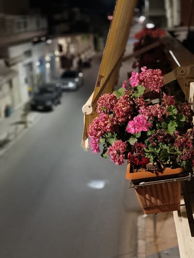 A close-up, slightly angled, night-time, medium shot shows a flower box filled with pink and red flowers, including some that appear to be wilting, mounted on a railing. The flower box is made of brown plastic and is resting on a metal bracket. Behind the flower box, a yellow awning is visible, attached to a building. The background is out of focus and shows a street scene at night. Cars are parked on the side of the street, and streetlights cast a dim glow. The architecture of the buildings lining the street suggests a European setting, possibly in the city of Bova Marina, Italy, given the context. There are no people or animals visible in the image. The lighting suggests artificial light sources, and the overall atmosphere is calm and quiet.