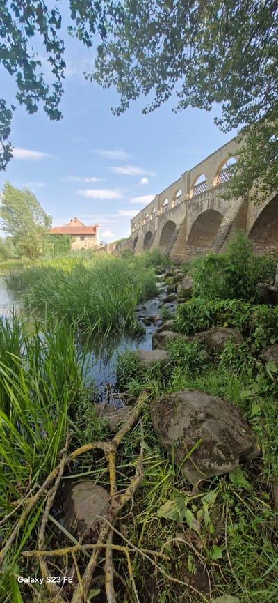 This is a photograph of the Pakruojis Manor Aqueduct, a historic structure located in Pakruojis, Lithuania. The image captures the aqueduct from a low angle, with lush green reeds and vegetation growing along the edge of a narrow stream or channel. The aqueduct itself is constructed of light-colored stone, featuring a series of arches that support a walkway. A building with a red-tiled roof, partially covered in ivy, is visible in the background to the left of the aqueduct. The sky is blue with scattered white clouds, and sunlight illuminates the scene. The foreground is dominated by the stream, rocks, and fallen branches, with the "Galaxy S23 FE" watermark in the bottom left corner.