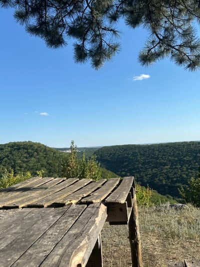 The image shows a wooden table and benches with a view of a valley covered in trees under a clear blue sky. The table is made of weathered, gray planks. In the distance, rolling hills covered in dense green trees stretch out to the horizon. A few sparse clouds are visible in the sky. The foreground features dry grass and some rocks. The location is identified as Malozalissia, Ukraine. There are no people visible in the image.