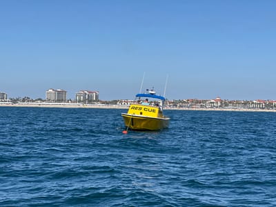 This image depicts an offshore view of the coastline of Huntington Beach, California, United States, under clear daylight conditions. In the foreground, a yellow motorized rescue boat is positioned in choppy, deep blue ocean water. The word "RESCUE" is printed in prominent black capital letters on the port side of the vessel. The boat features a blue canopy or bimini top under which at least two individuals are discernible. Two tall, white antenna-like structures, possibly fishing rod holders, extend vertically from the stern. An orange cylindrical buoy is tethered to the bow of the boat, floating on the water's surface.
The background reveals a long, sandy beach densely populated with numerous individuals. Behind the beach, a series of multi-story buildings, consistent with hotels or resorts, line the horizon. These structures exhibit reddish-brown or terracotta-colored roofs and light-colored facades. Palm trees are visible along the coastline, interspersed among the buildings and the beach area. The sky above is clear and azure blue, without visible clouds.