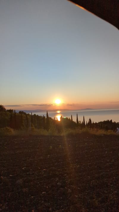 The image captures a sunset over the Black Sea from Malyi Mayak, Ukraine. In the foreground, a field of dark soil with scattered stones and some sparse vegetation is visible. The middle ground features a slope covered with various trees, including prominent cypress trees with their distinctive tall, slender shapes. Beyond the trees lies the calm sea, reflecting the warm hues of the setting sun. The sun itself is low on the horizon, casting a bright orange glow and creating a shimmering reflection on the water. In the distance, a range of mountains forms a silhouette against the colorful sky, which transitions from a pale blue at the top to shades of orange and pink near the horizon. A thin band of clouds is visible just above the horizon, also illuminated by the setting sun. The overall scene is serene and natural, depicting a coastal landscape at dusk.