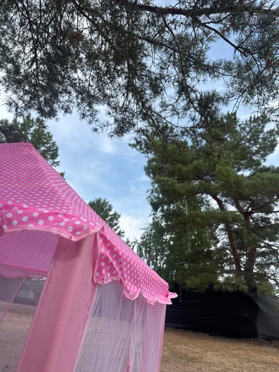 A pink polka-dot tent is in the foreground, with sheer pink netting hanging down. Behind the tent, there are trees and a cloudy sky. The ground appears to be dirt or sand. The scene is outdoors.
