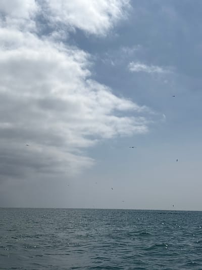 This is a photograph of the sea near Callao, Peru. The image captures a wide expanse of the ocean under a cloudy sky. Several birds are visible in flight, scattered across the frame. Some birds appear to be in formation, while others are more isolated. The water is choppy, with sunlight reflecting off its surface. The horizon line is clear, dividing the sea and the sky.